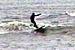 Random Severn Bore Surfing Photo 3.